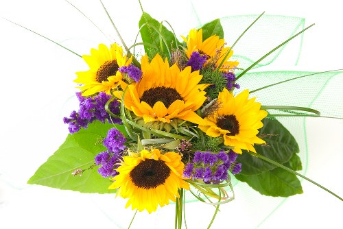 Assortment of colorful flower arrangements