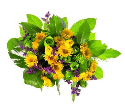 Eco-friendly packaging for flower delivery