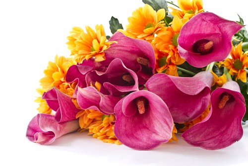 Variety of colorful flowers available for delivery