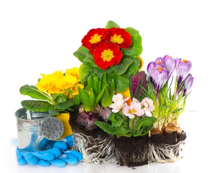 Fresh flowers arranged elegantly